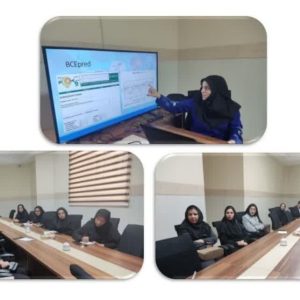 photo_2025-03-01_13-45-11